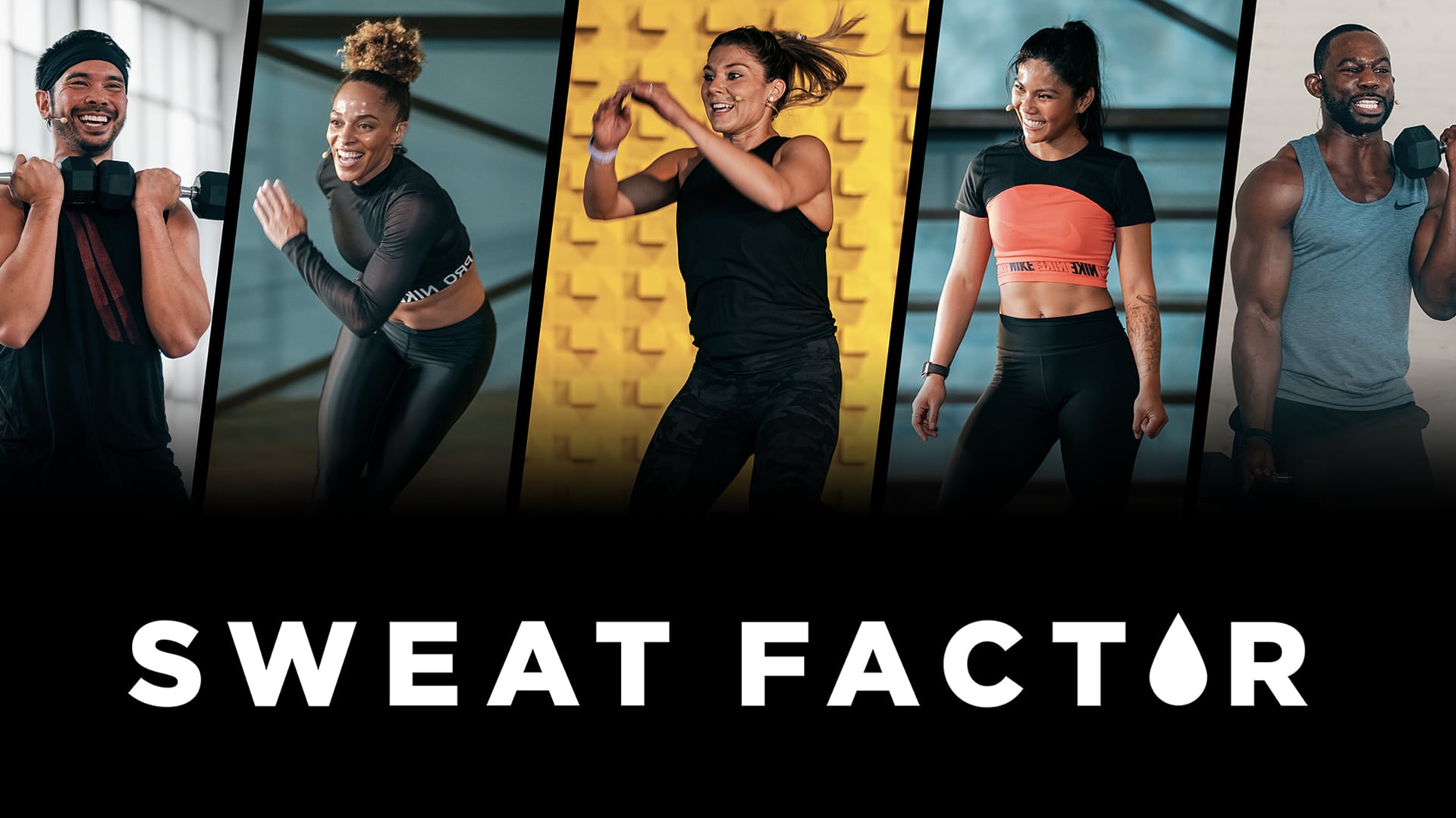 Sweat Factor Virtual Fitness